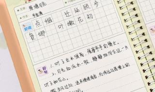 摘抄十五篇优美的好词好句 好词好句摘抄大全集
